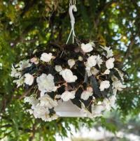  Nonstop Joy Mocca White - 5 