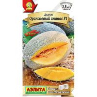 [������] ���� ��������� ������ F1 - 5 ��