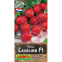 [������] ����� ������� F1 - 0.5 ��