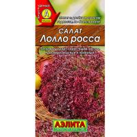 [������] ����� ����� ����� �������� - 0,5 ��