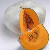 ����� ������� F1- 5 ��