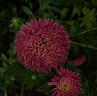 ����� ��������� ������ �����-����� - 10 ��